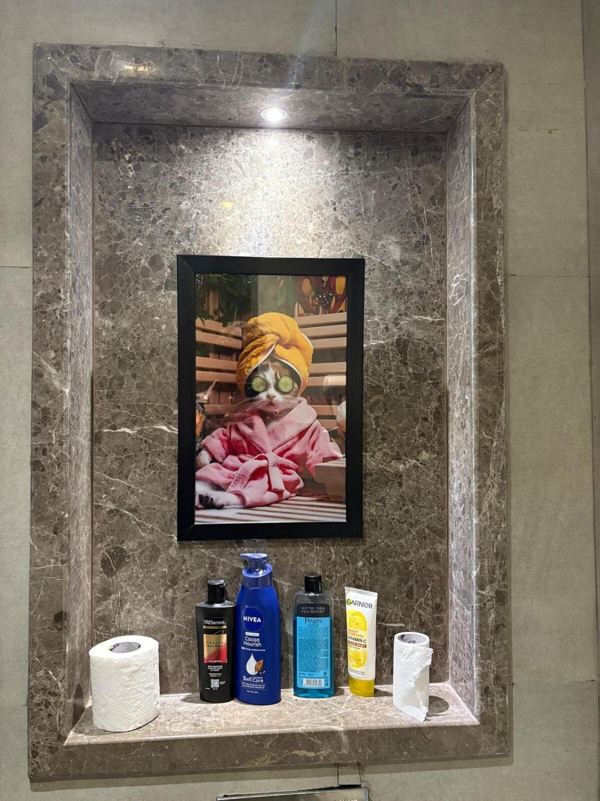 Luxury Lagoon By La Fausto Apartment New Delhi